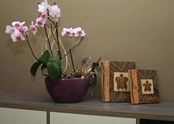 Apartment Main Square